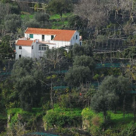Azienda Agricola Veniero Πιάνο ντι Σορέντο Εξωτερικό φωτογραφία