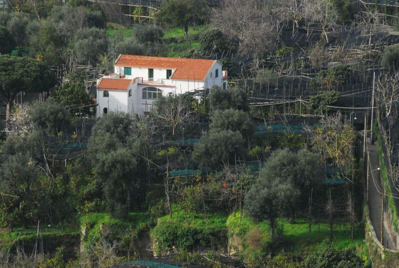 Azienda Agricola Veniero Πιάνο ντι Σορέντο Εξωτερικό φωτογραφία